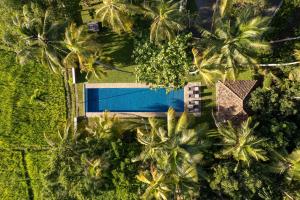 Bazén v ubytování Ivory House nebo v jeho okolí