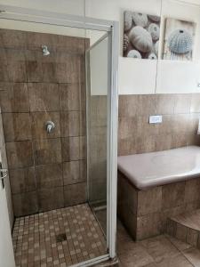 ein Badezimmer mit Dusche mit Glastür in der Unterkunft DE SWARTE MOSSEL in Hondeklipbaai