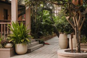 un patio con palmeras y plantas en un edificio en Riva Beach Resort, en Mandrem