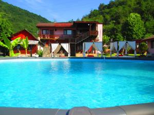 a large swimming pool in front of a house at Cabana Ogradena in Eşelniţa
