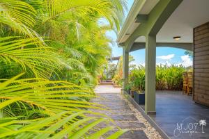a patio with a bunch of palm trees at Villa Eden... pour un séjour parfait! in Saint-Leu