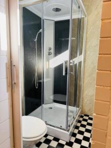 a glass shower in a bathroom with a toilet at tiny beach house noordwijk in Noordwijk aan Zee