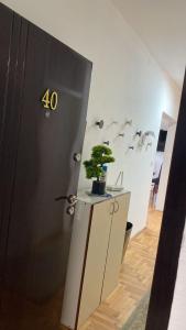 Fotografie z fotogalerie ubytování Apartment Rooms Niva v Bělehradě