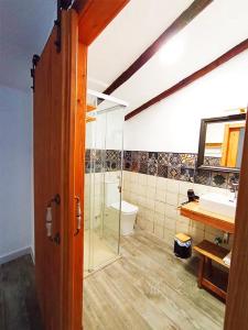 a bathroom with a shower and a toilet and a sink at La Calderera in Talarrubias +30 photos