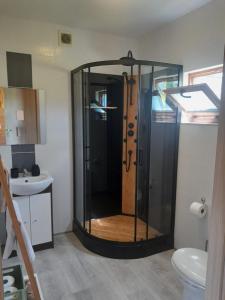 a bathroom with a shower with a glass door at Agroturystyka u Krystyny in Rybczewice +12 photos