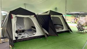 Fotografie z fotogalerie ubytování iGo Glamz 爱狗露营 Pet Friendly Glamping v destinaci Genting Highlands