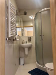 łazienka z przeszkloną kabiną prysznicową i umywalką w obiekcie SZWEDZKA22 PL Premium Rooms we Wrocławiu