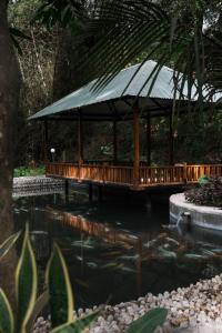 奇旺Riverside Springs Resort的相册照片