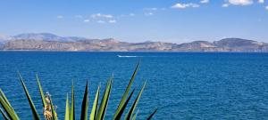 Příroda nedaleko apartmánu + 11 fotografií