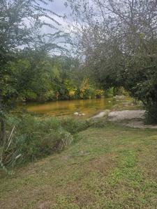 Φυσικό τοπίο κοντά σε αυτή η παραθεριστική κατοικία +9 φωτογραφίες