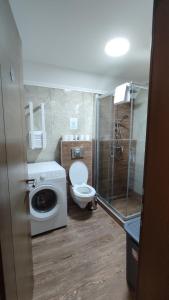 a bathroom with a washing machine and a toilet at Vila Vlajić 2020 in Gornje Pale