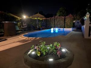 Bazén v ubytovaní VILLA tous conforts avec Piscine privée et accès Plage alebo v jeho blízkosti