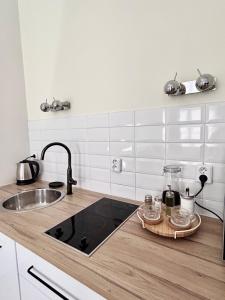 une cuisine avec un évier et un plan de travail dans l'établissement Studio Oliver, à Prague 4 autres photos