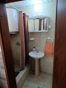 Un pequeño baño con lavabo y ducha. en Dvokrevetna soba, Spaso, en Petrovac na Moru