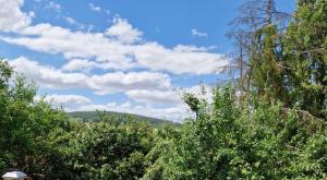 a group of trees with a blue sky and clouds at Chalet Corallo con camino e ingresso indipendente in Ronco