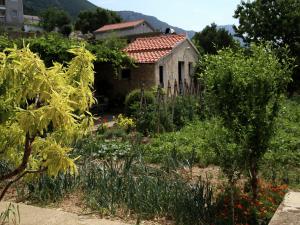 Jardín al aire libre en Beautiful apartment in between Split and Trogir
