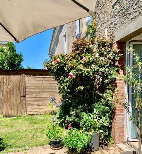 Fotografie z fotogalerie ubytování L'échappée belle v destinaci Luc-sur-Mer