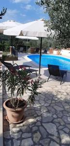 Bazén v ubytovaní Apartments Kampor (4235) alebo v jeho blízkosti