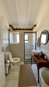 a bathroom with a sink and a toilet and a sink at The Wooden House in Plettenberg Bay