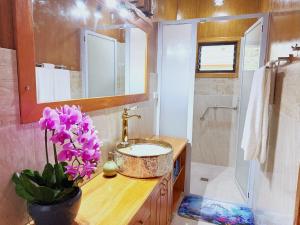 a bathroom with a sink and a toilet and a shower at Sigasiga Sands Boutique Bungalows in Savusavu +91 photos