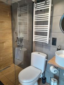 a bathroom with a toilet and a sink at Panorama Pienin- apartamenty i studio in Sromowce Wyżne +26 photos