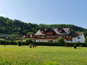 a large house in a field in front of a mountain at Casa Loredana in Vadu Izei