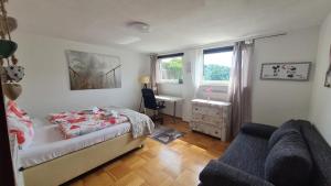 Un dormitorio con una cama, un escritorio y un sofá. en Apartment Neuweiher, en Daisendorf
