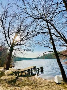 a picnic table sitting on the shore of a lake at Domek letniskowy Iwonka in Zbychowo +8 photos