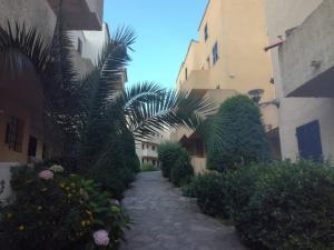 un callejón entre dos edificios con palmeras en T2 log entier Porticcio 35m piscine-mer-resto 400m, en Grosseto-Prugna 3 fotos más