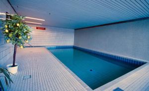 a swimming pool with a plant in a room at Himmelblau in Schönwald
