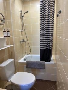 Et badeværelse på ASTOS Vila in Palanga + 34 billeder