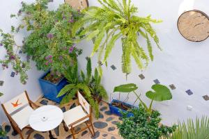 a room with plants and chairs and a wall at Hostal Casa Alborada in Conil de la Frontera