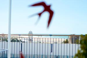 a bird flying over a body of water at Hostal Casa Alborada in Conil de la Frontera