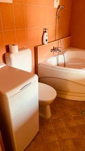 Kúpeľňa v ubytovaní Strigonia Apartman