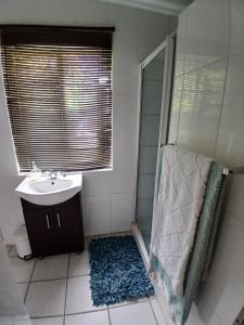 Un baño con ducha, lavabo y espejo. en Karoo 2, en Douglas