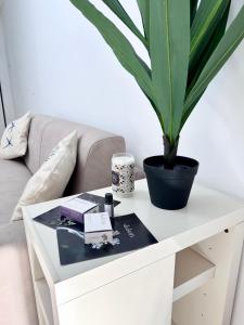 a white coffee table with a potted plant on it at Augustus roman emperor in Lido di Jesolo