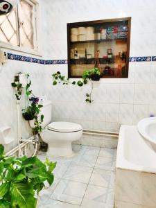 baño con aseo y plantas. en Layla Mourad's Stay, en El Cairo