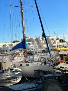 a group of boats docked in a harbor at Studio antigua in Le Grau-du-Roi