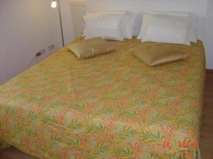 a large bed with two pillows on top of it at Ferienwohnung direkt am Rhein in Sasbach am Kaiserstuhl +13 photos
