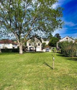 un arbre au milieu d'une cour avec une maison dans l'établissement Grand Jardin Maison Spacieuse Idéale pour Famille, à Larche