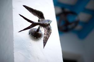 a bird is hanging on a white wall at Hostal Casa Alborada in Conil de la Frontera