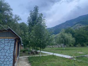 Fotografie z fotogalerie ubytování Basuta Guesthouse v destinaci Kapan