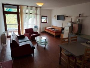 Kuchyň nebo kuchyňský kout v ubytování APT C-3 v areálu DOKY LIPNO - bezbariérový