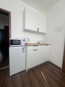 Kuchyňa alebo kuchynka v ubytovaní Ubytovanie HAMAR 17