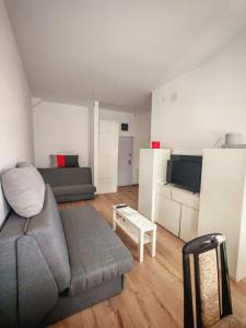 a living room with a couch and a tv at Apartman 1 - Pejak in Banja Koviljača