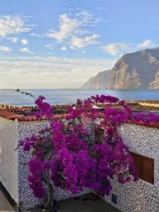 un bouquet de fleurs violettes sur un mur blanc dans l'établissement Vista Magica Beachfront Suite, à Acantilado de los Gigantes