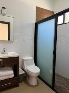 a bathroom with a toilet and a sink and a mirror at Cabaña Casa Carolina in Mazamitla
