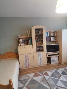 a bedroom with cardboard boxes and a tv at Sólyom Katalin vendégház in Văleni
