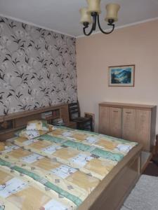 a bedroom with a large bed in a room at Sólyom Katalin vendégház in Văleni