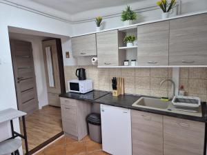 a kitchen with wooden cabinets and a sink at Kucko Vendeghaz Guesthouse in Sárospatak